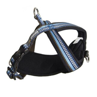 Kennel Equip Dog Multi Harness Active sele